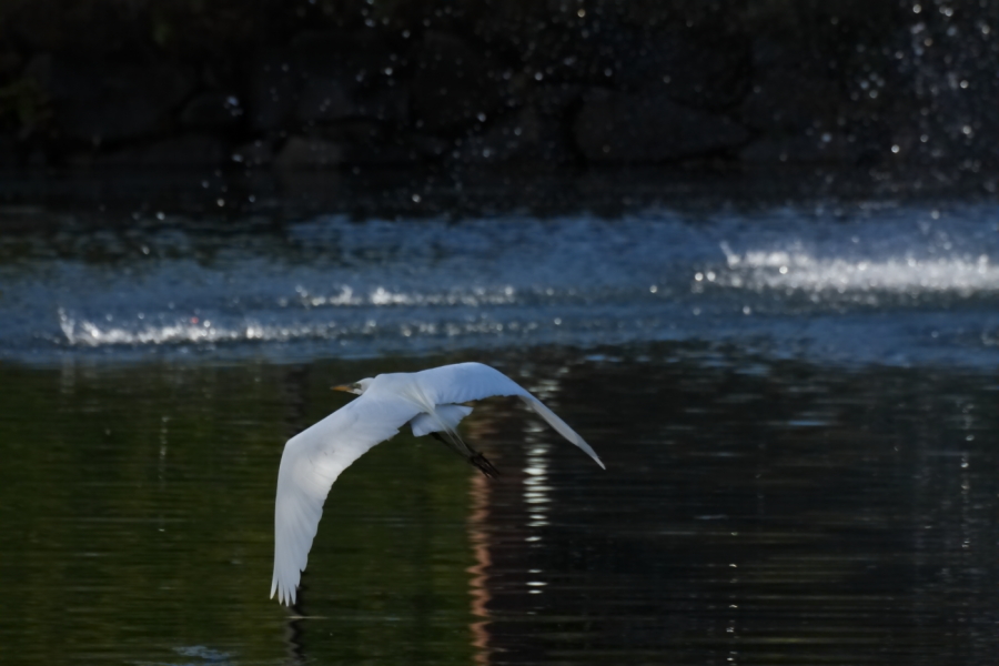 2013 05 06 IMG 05364